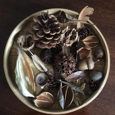 An arrangement of various kinds of seed pods in a basket