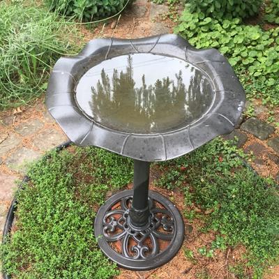 Birdbath with reflections of trees