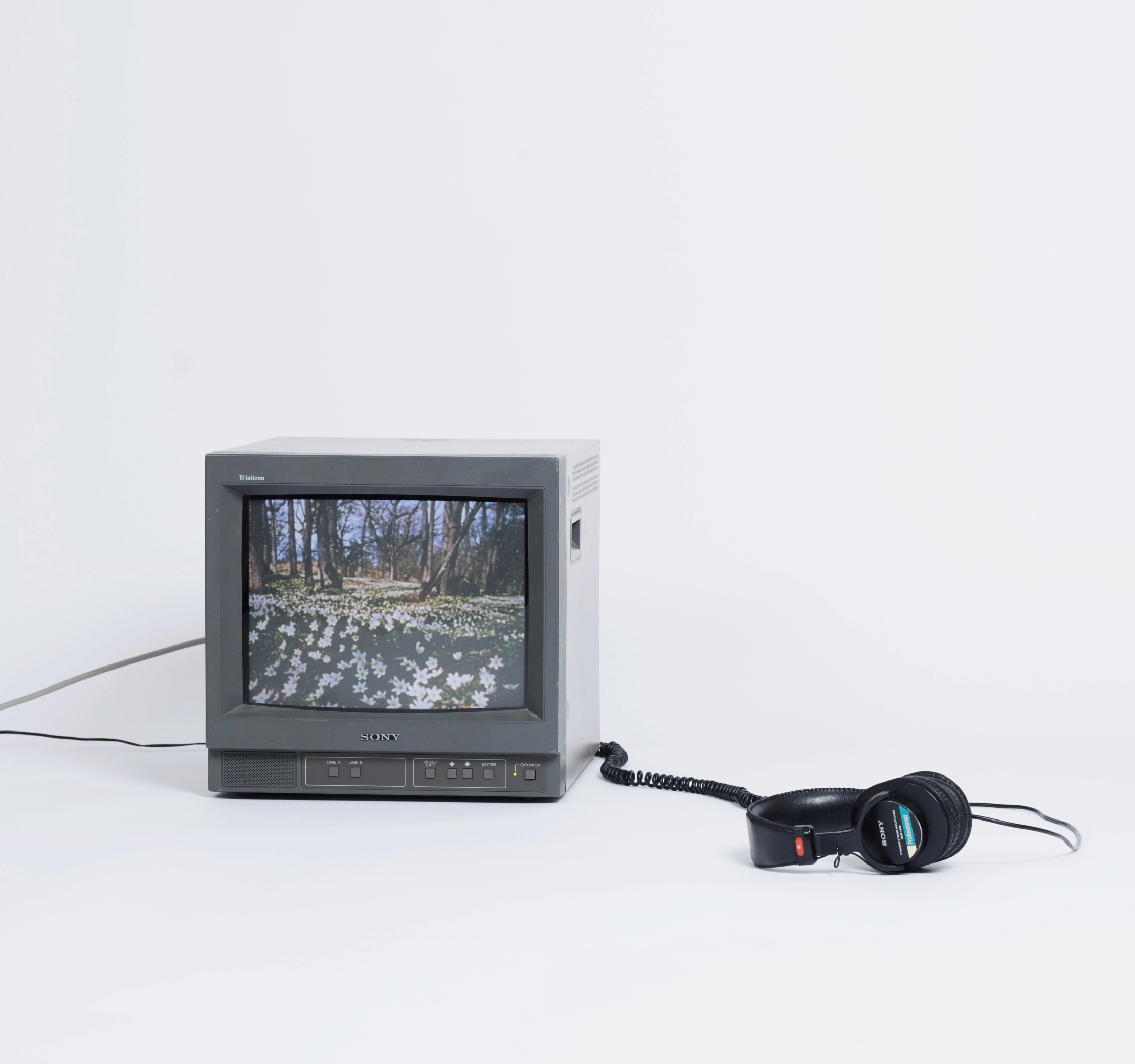 Gammal tjock-tv som visar en skog med vitsippor, med hörlurar bredvid på golvet, mot vit bakgrund.