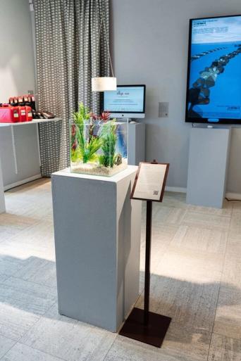 Akvarium med gröna växter på ett grått podium i utställningen, med skärmar och röda dunkar i bakgrunden.