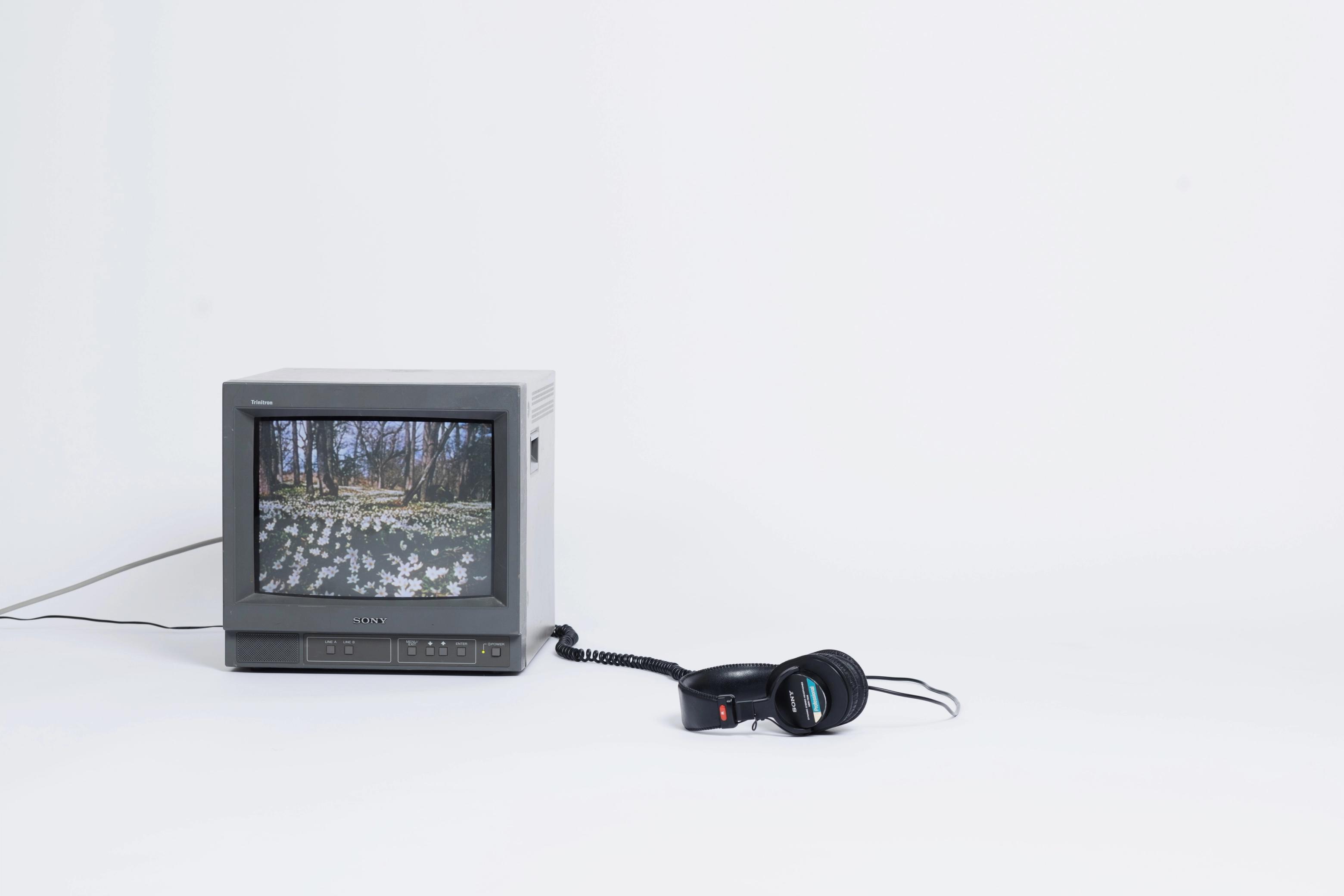 Installation made by Silje Nordback