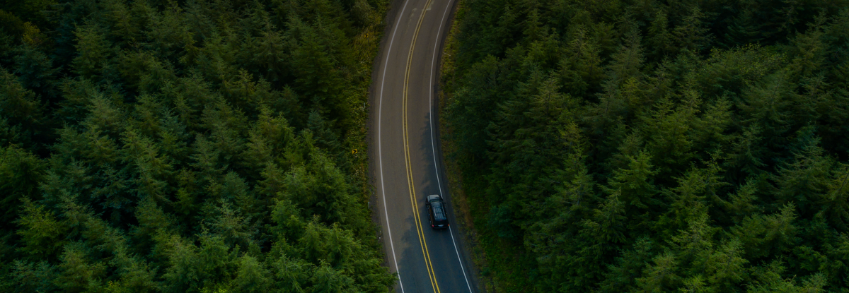 Driving through forest in Washington State
