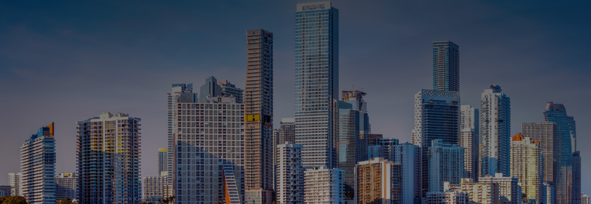 Miami Skyline