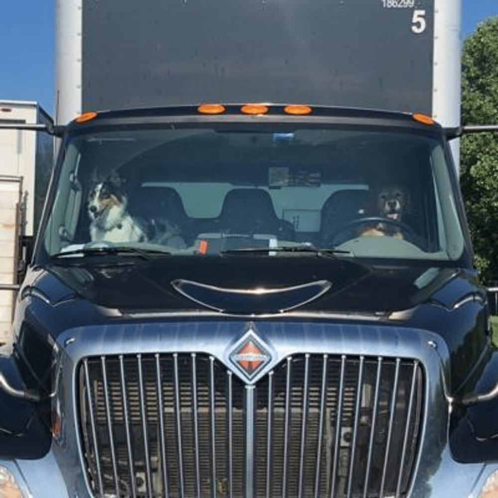 in-home delivery companies, here 2 there shipping