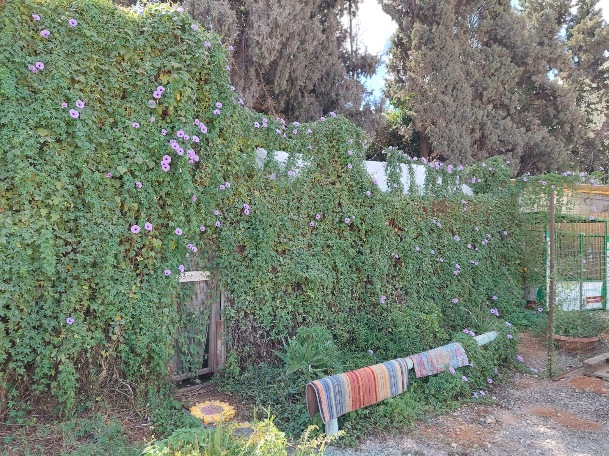 תמונה 1 של הנכס