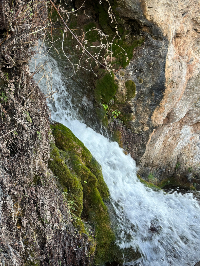 Photo of nature in Sierra del segura