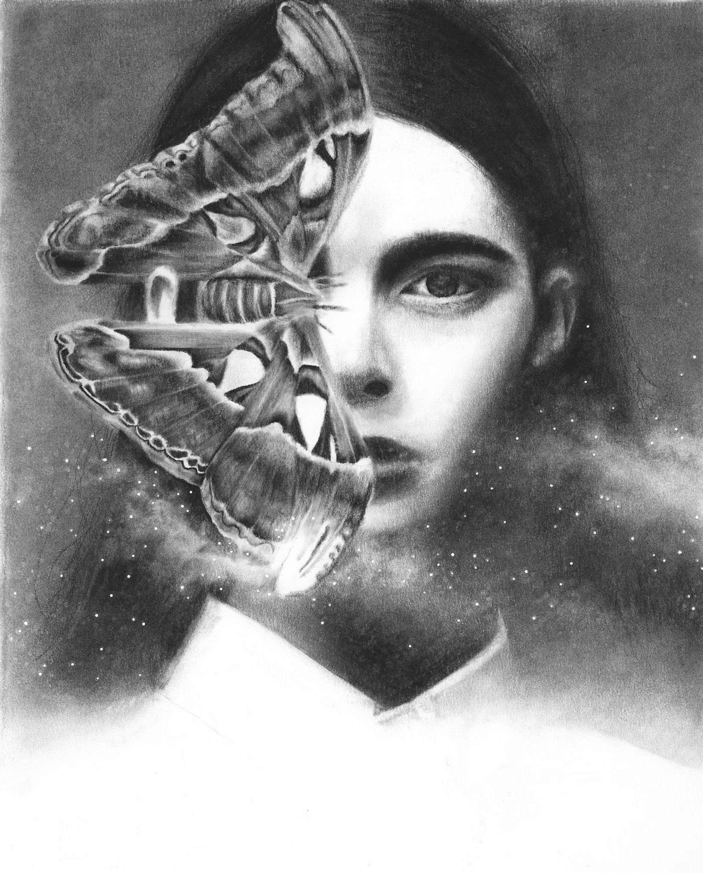 The Moth (Personal)