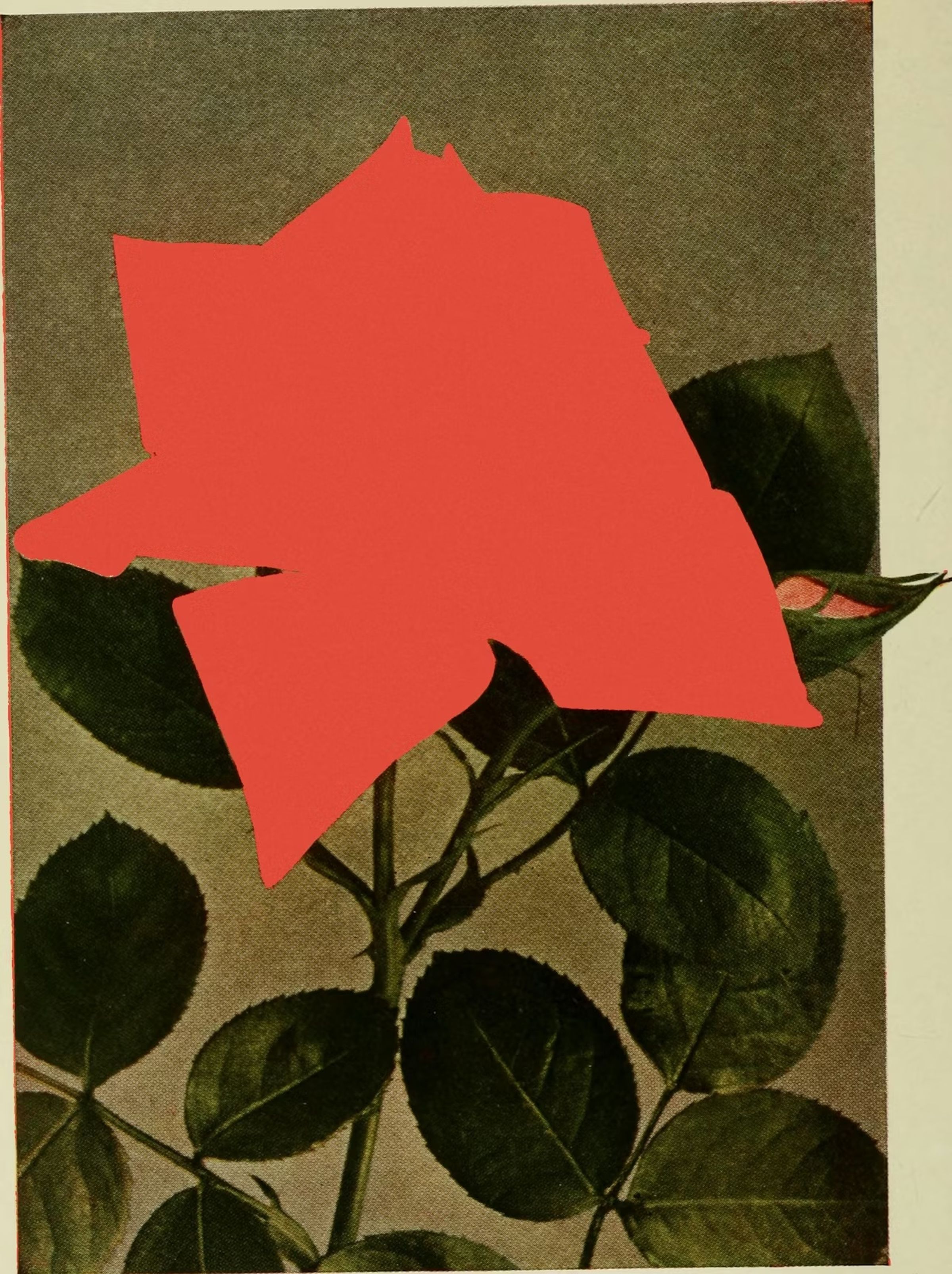 Collage Sketchbook