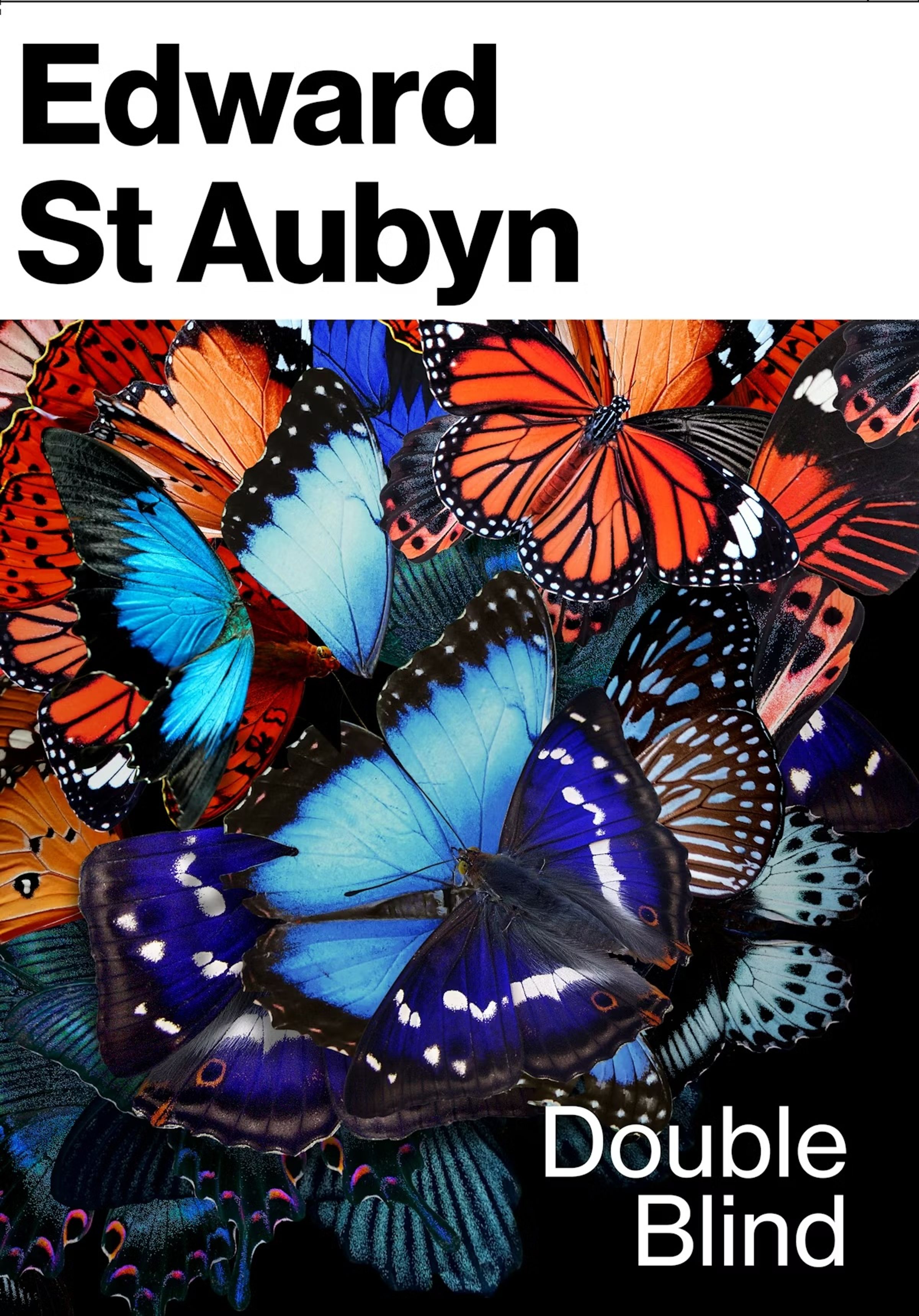 Double Blind - Edward St Aubyn