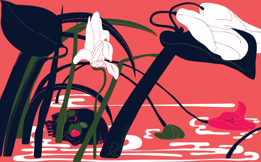Vannplanter, Skalle Og Kirsebær (Roboprint)