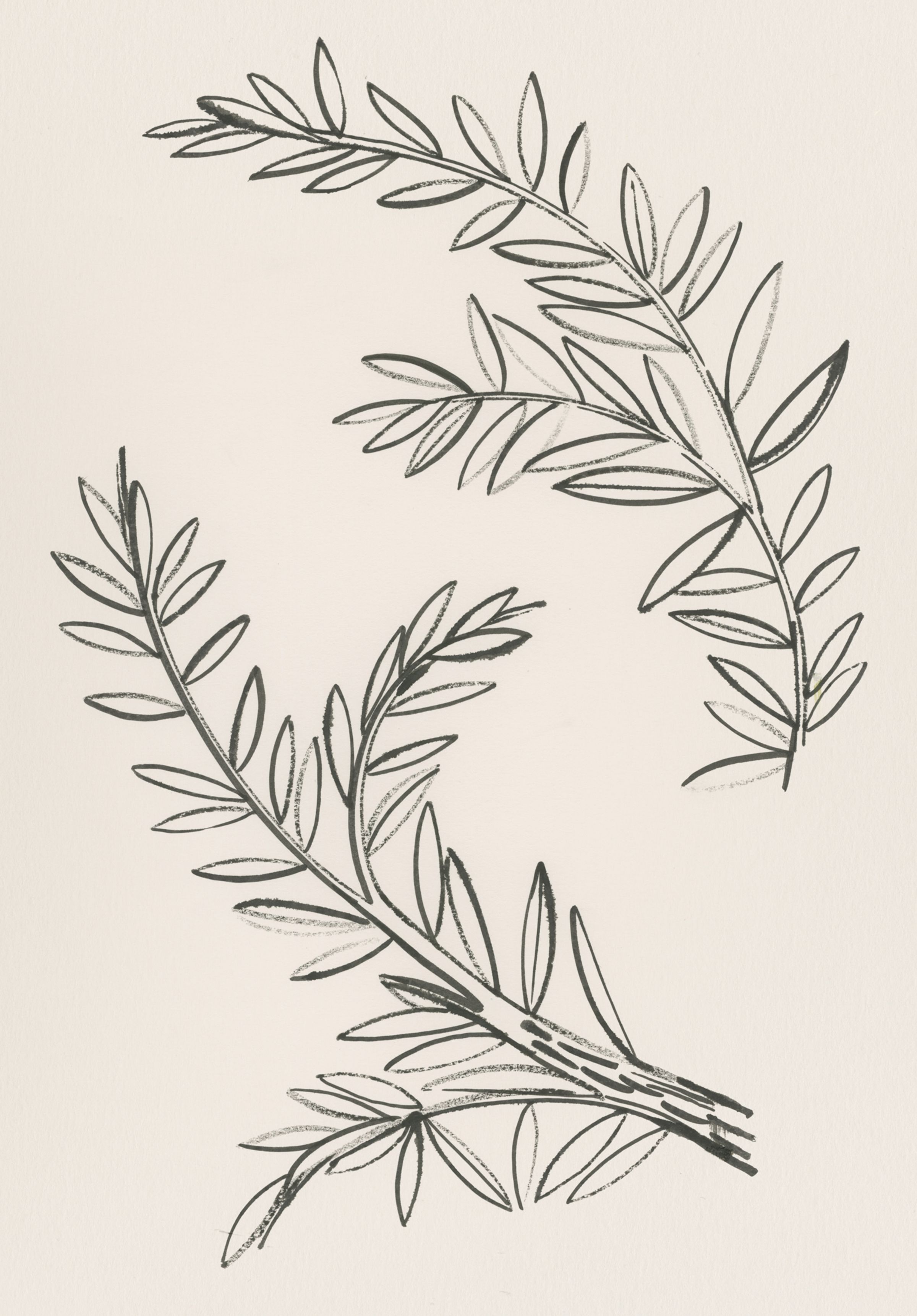 tiffany & Co