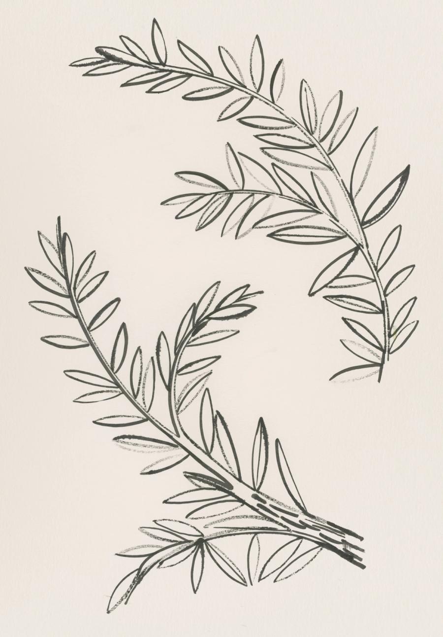 tiffany & Co