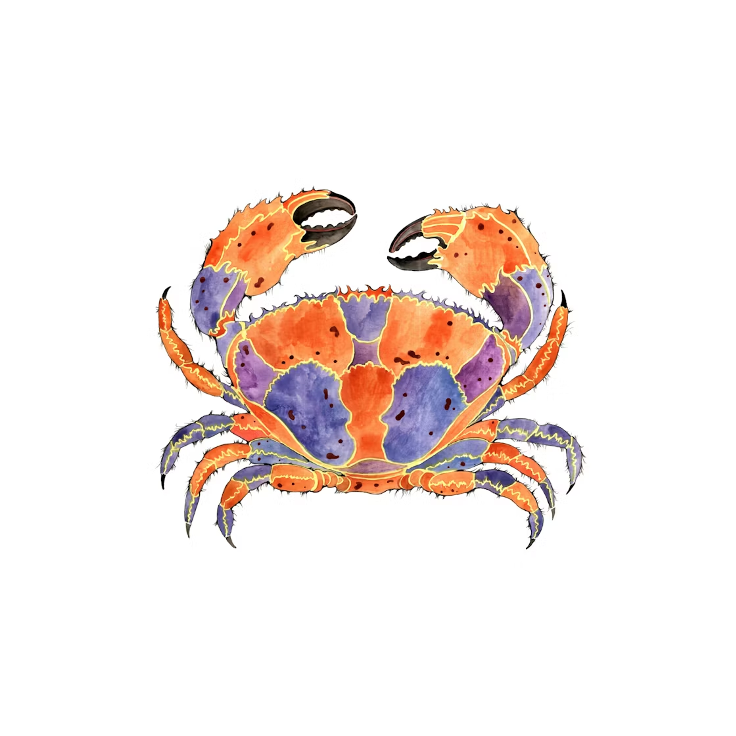 crab