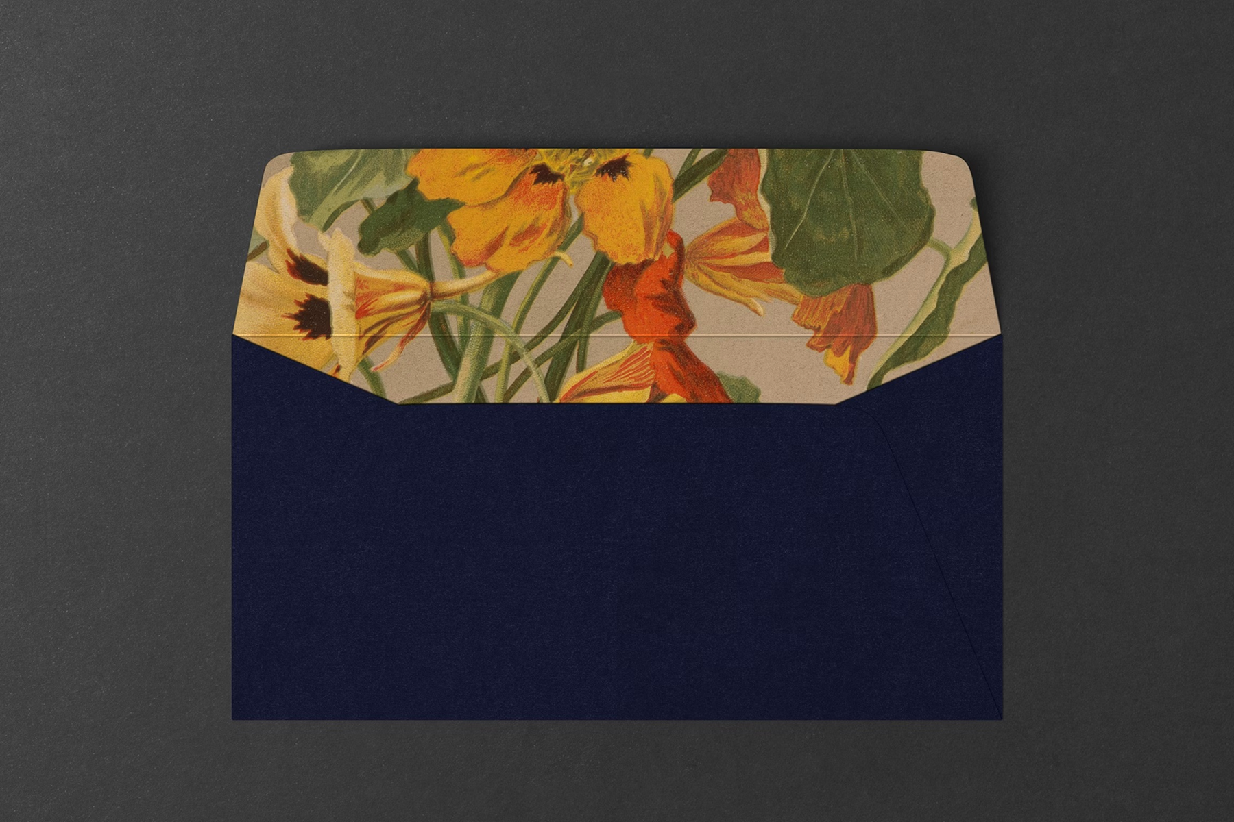 The brand uses archival imagery and original illustrations.