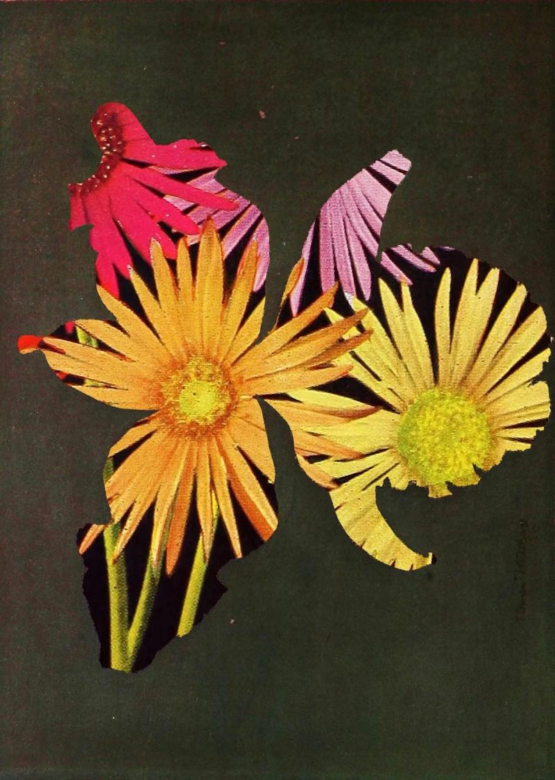 Collage Sketchbook