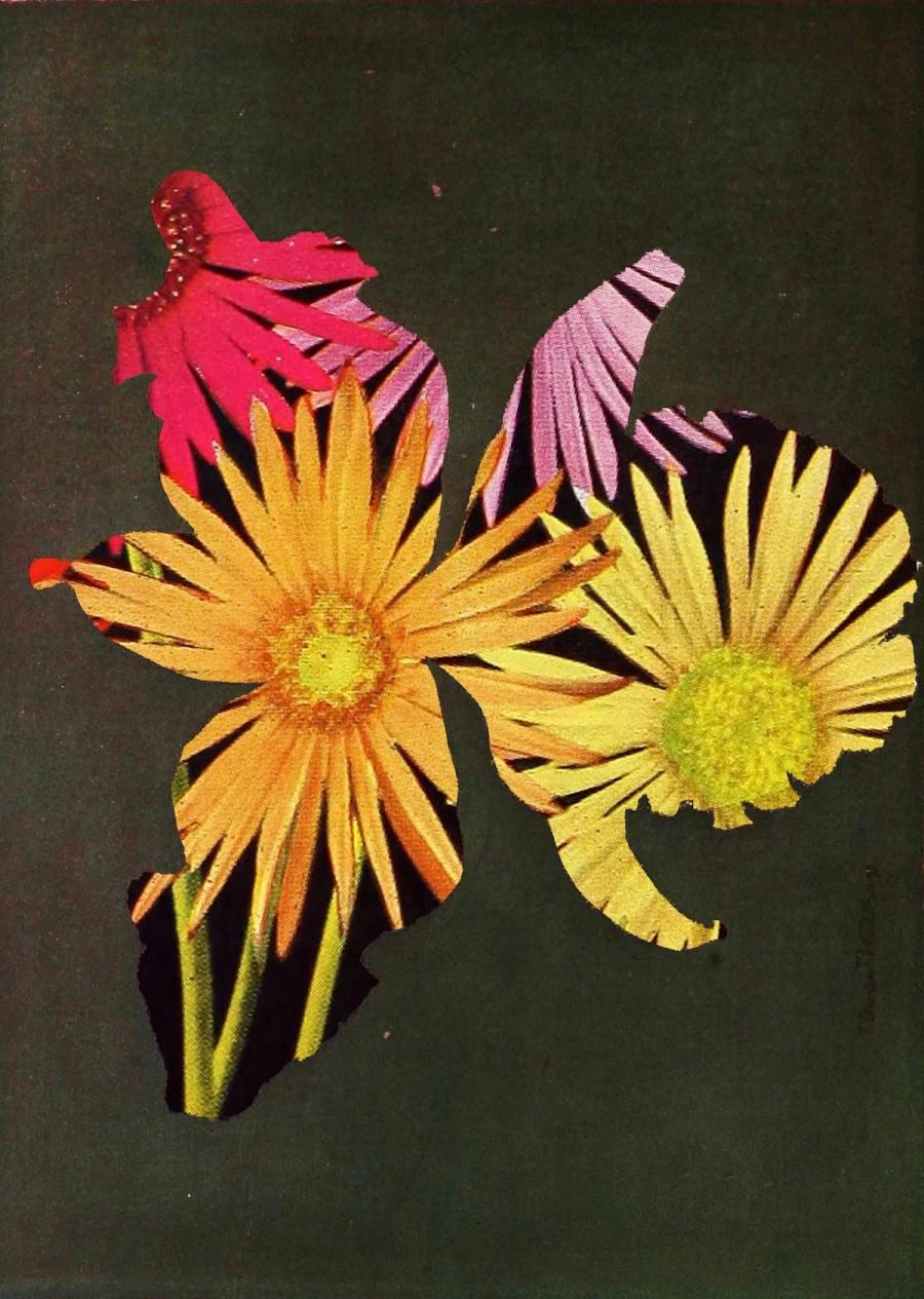 Collage Sketchbook