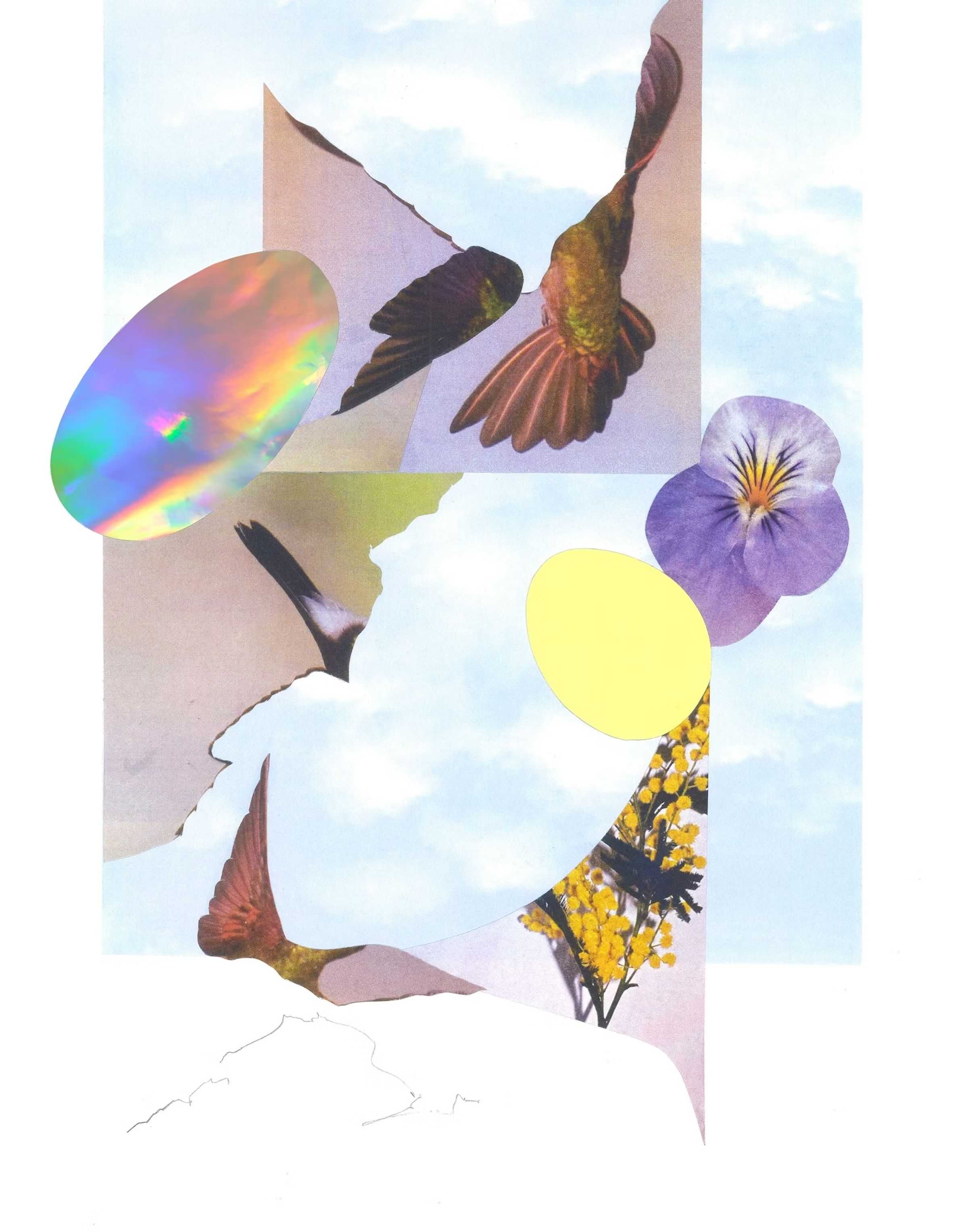 Wings (Personal)