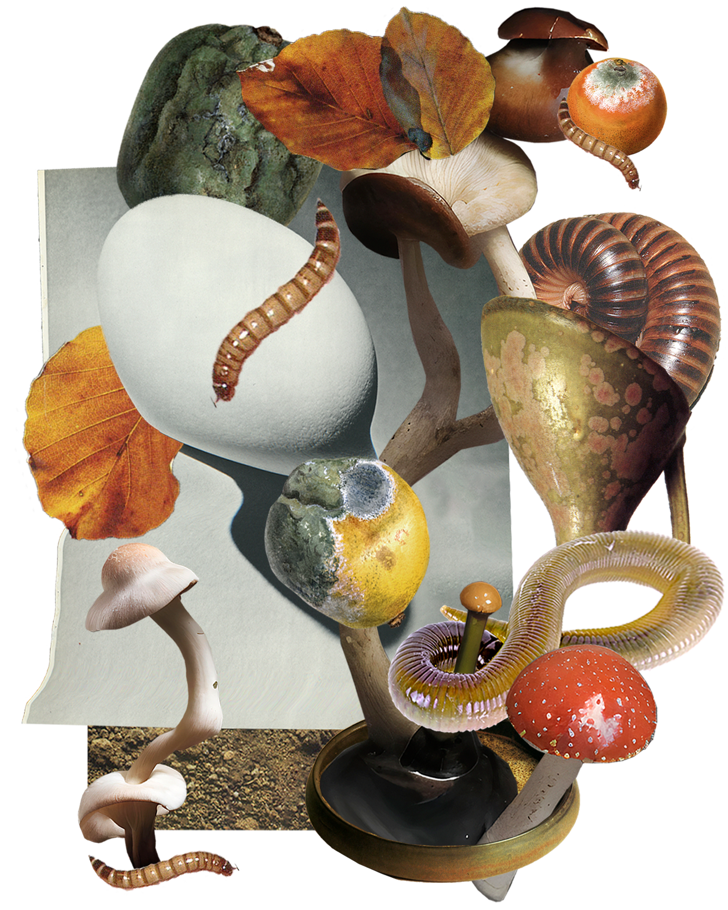 Something's Rotten (Tractor Beam Magazine)