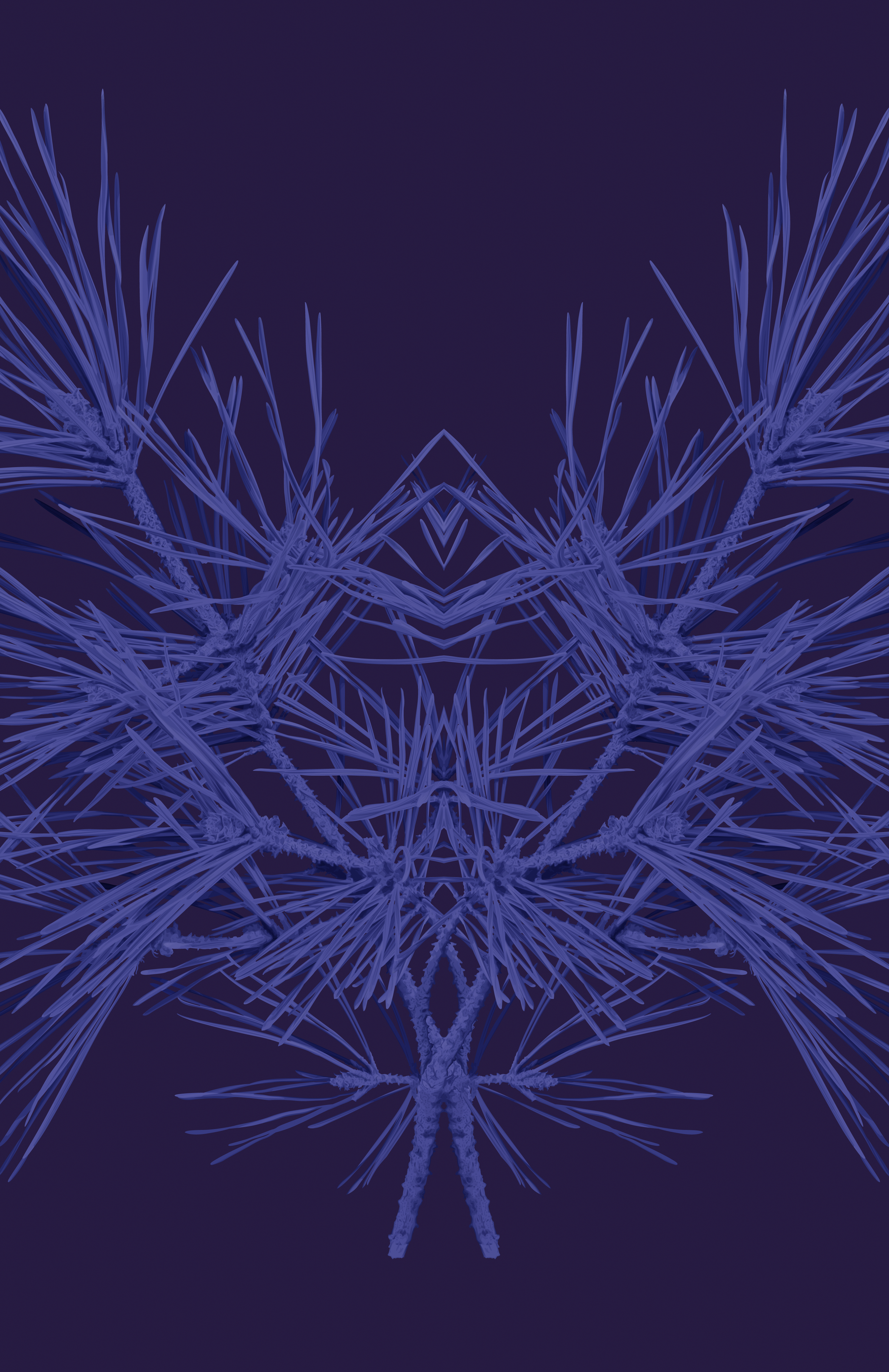 Blue Series