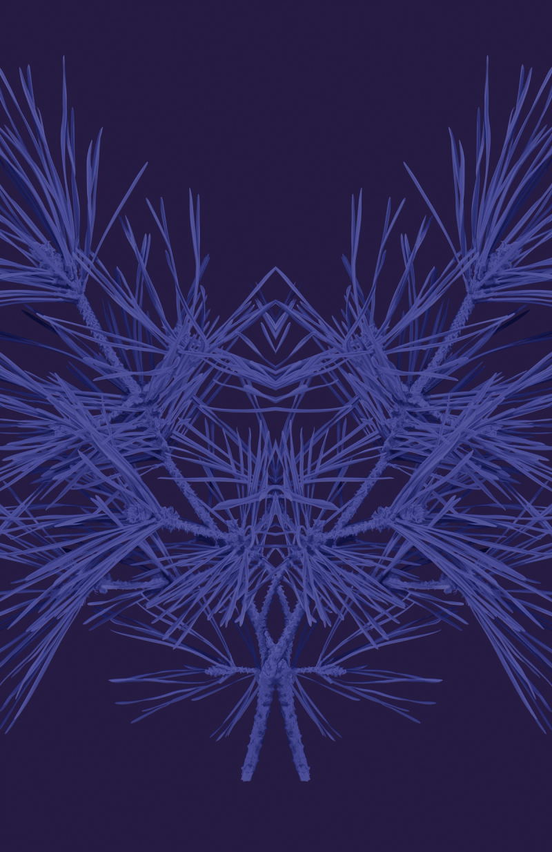 Blue Series