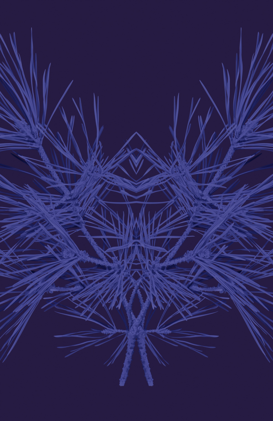 Blue Series