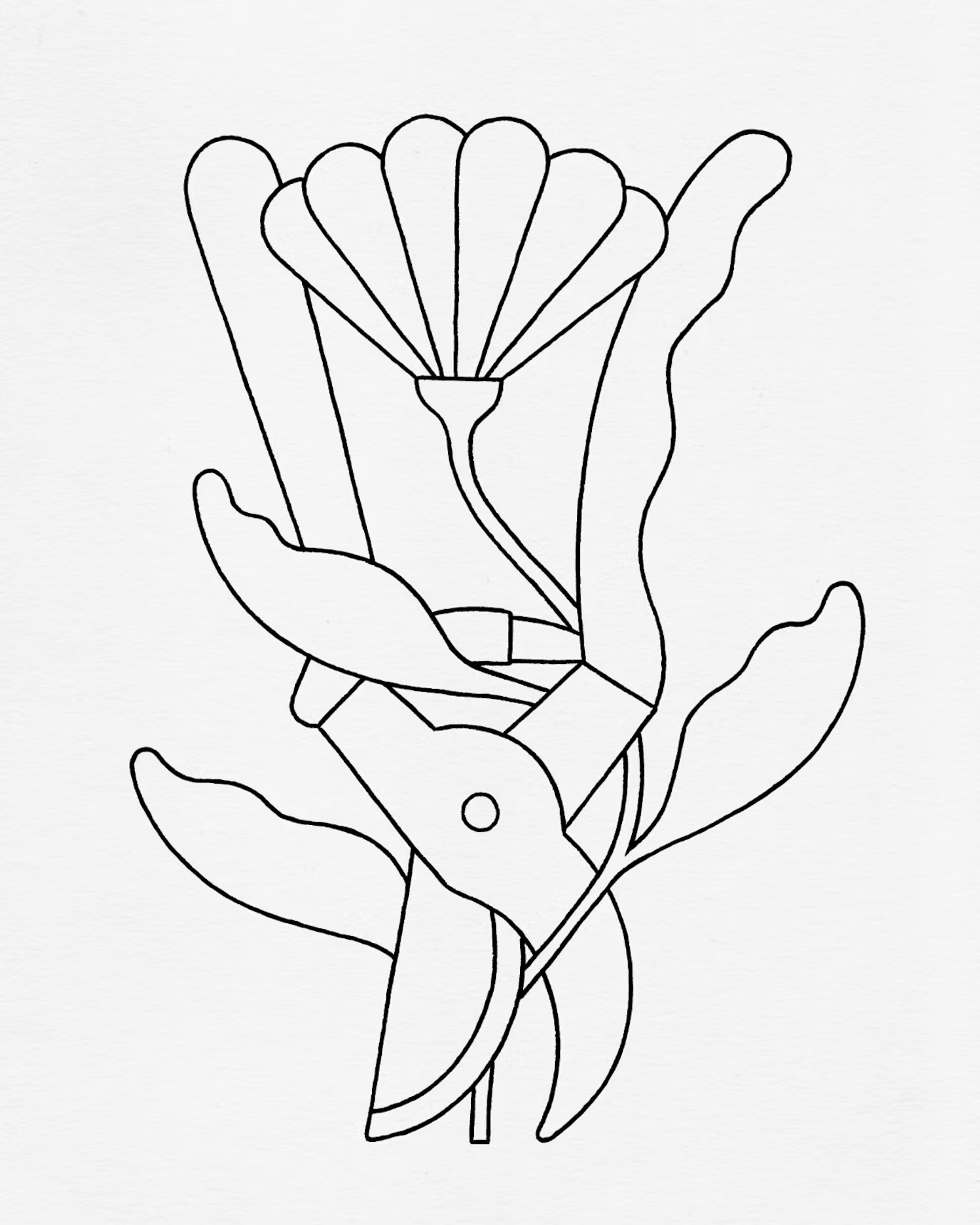 Floral Philosophy (Bloomon)