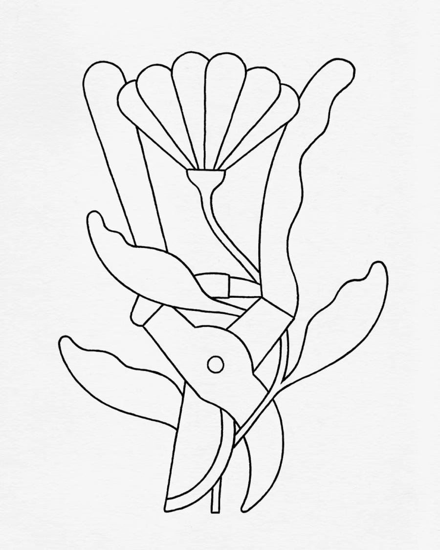 Floral Philosophy (Bloomon)