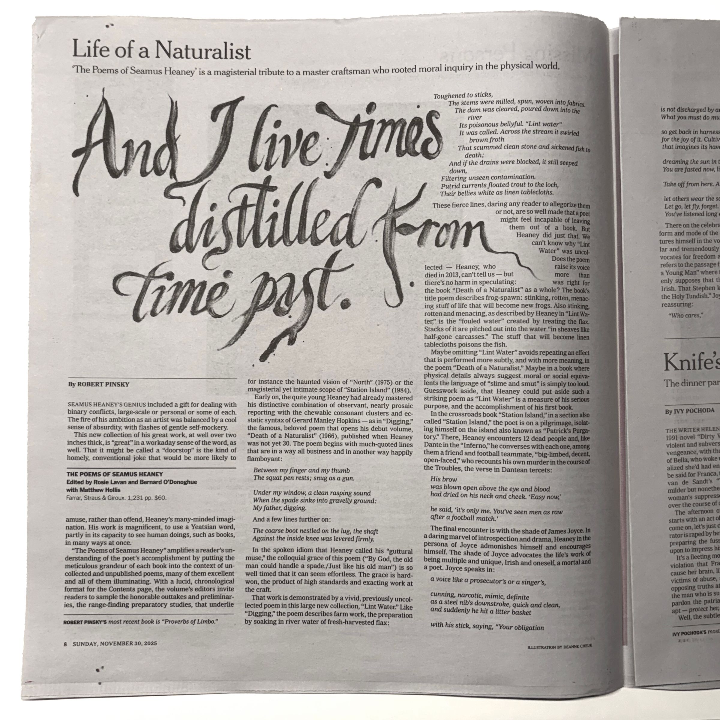 New York Times Book Review Cover