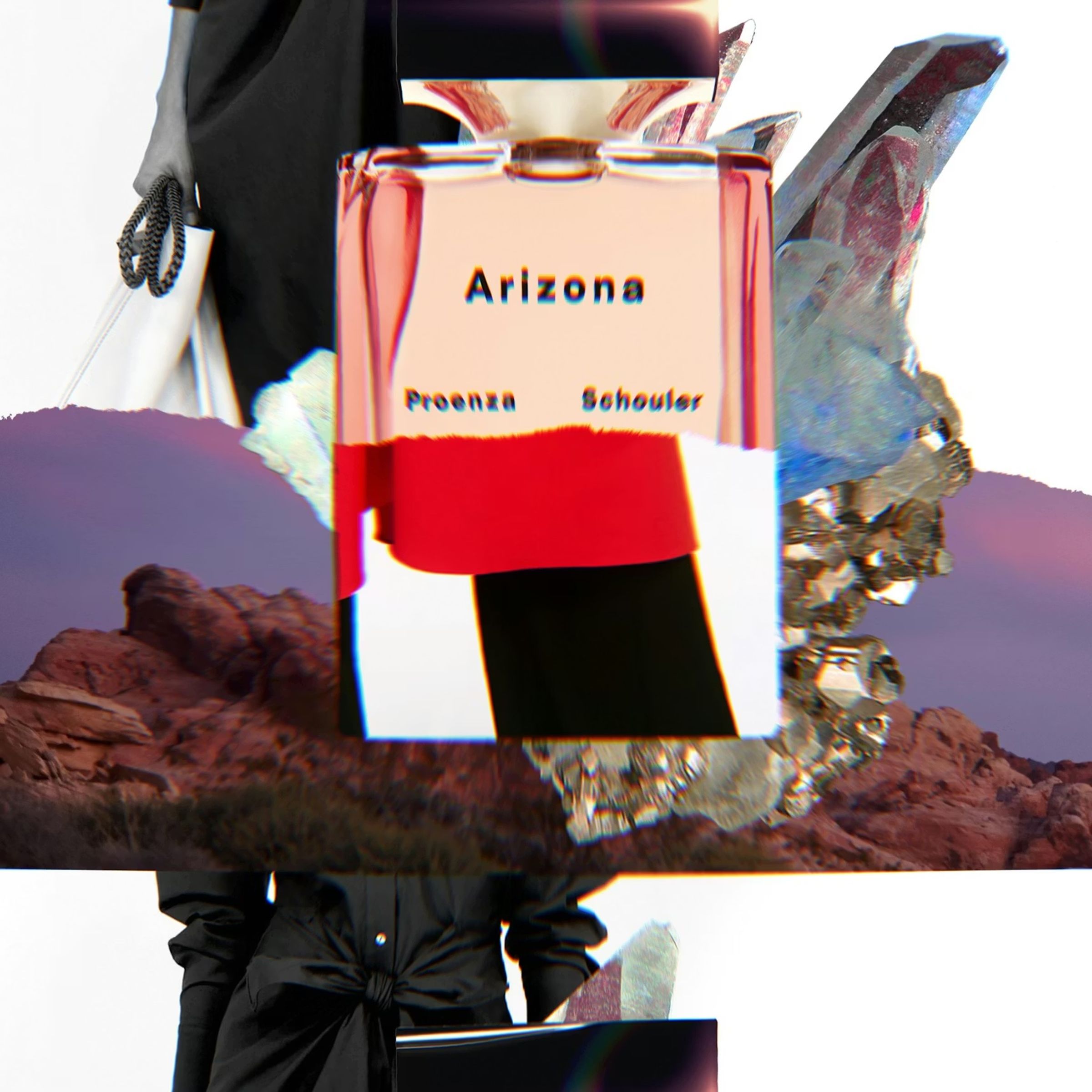 Proenza Schouler x Arizona