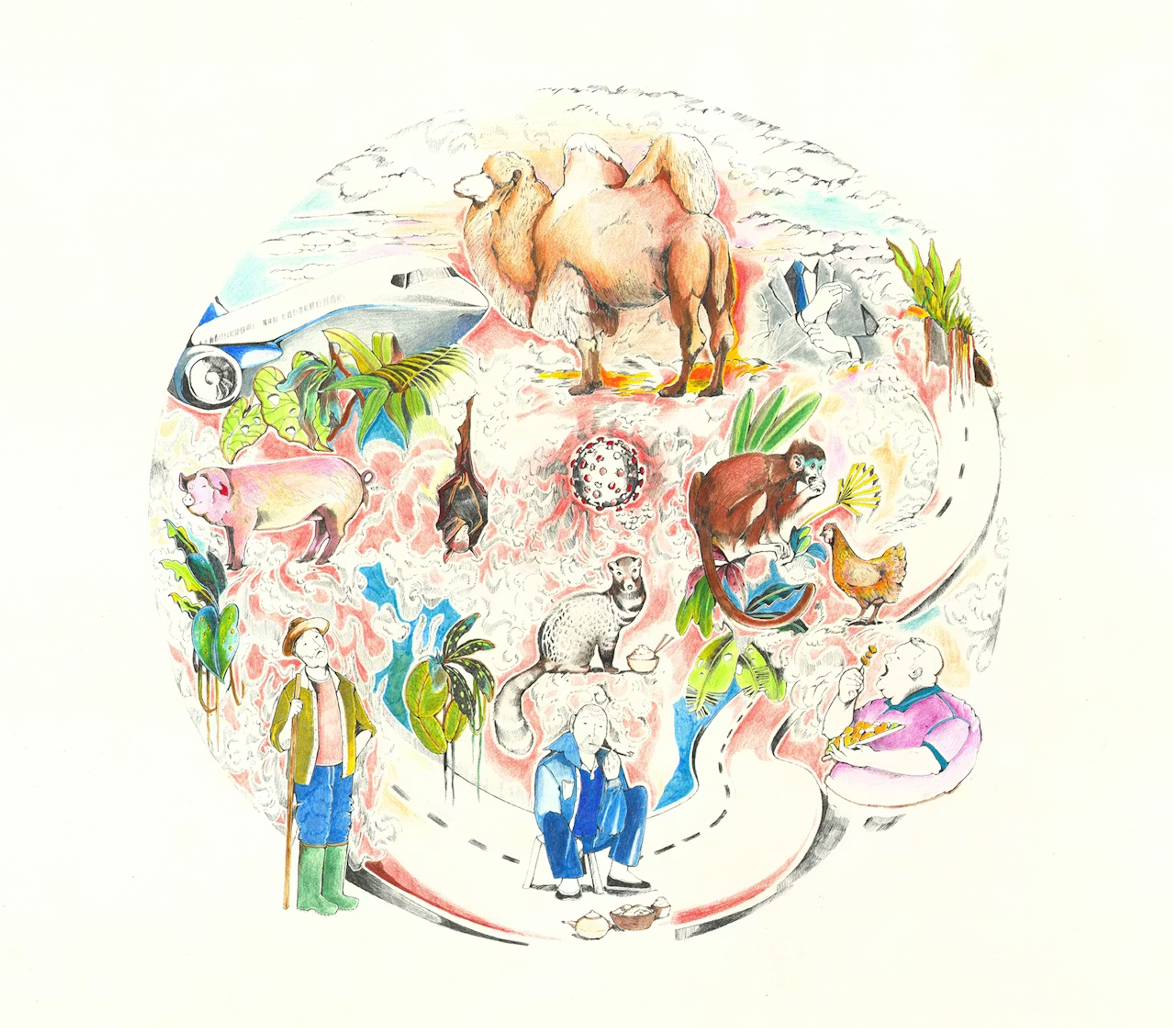 bestiary of corona animals niekolaas johannes lekkerkerk