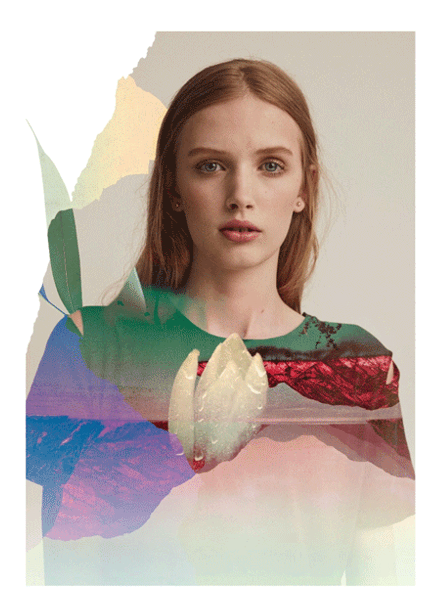 Collages for Models 1