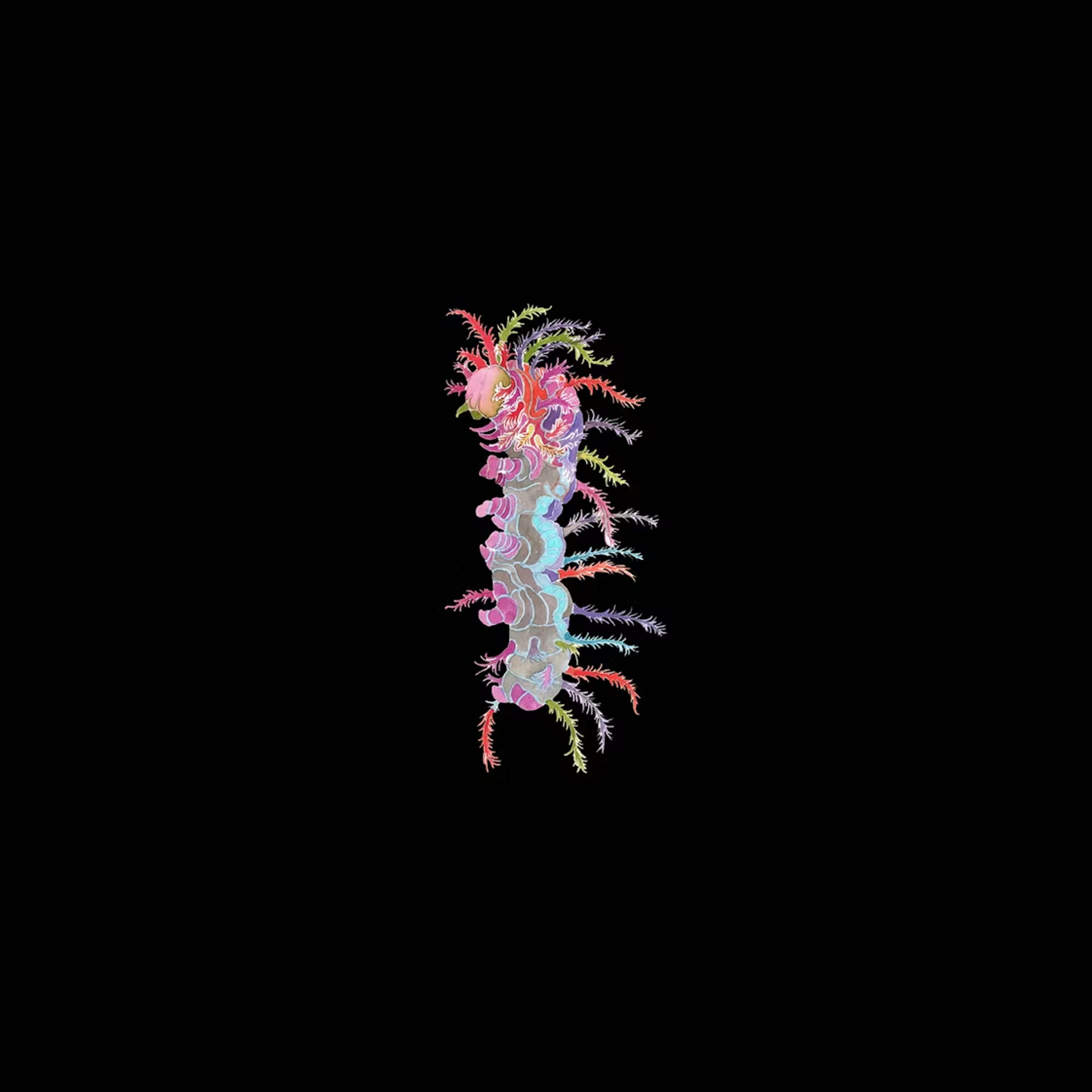 caterpillar (personal)