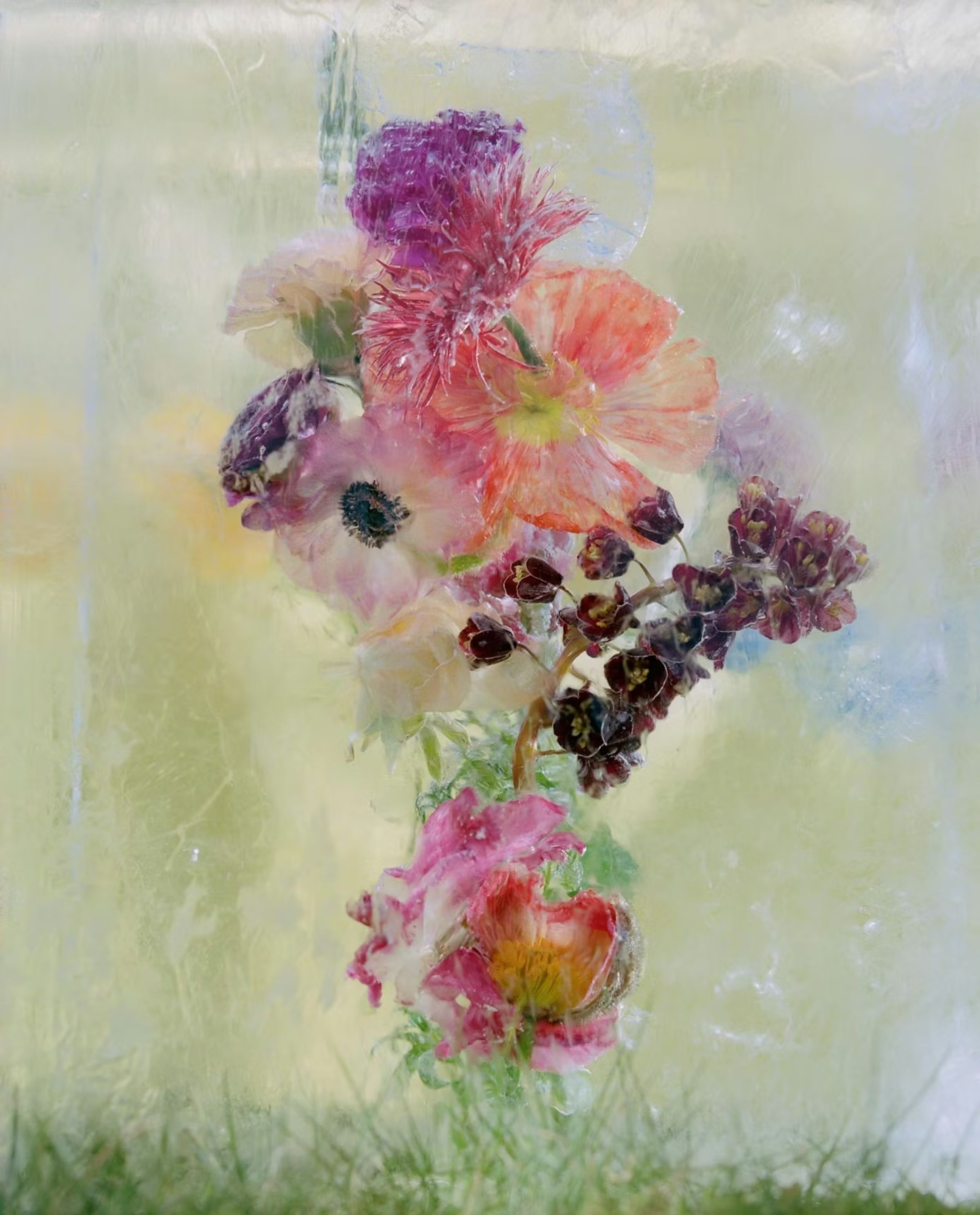 Efterklangs Windflowers
