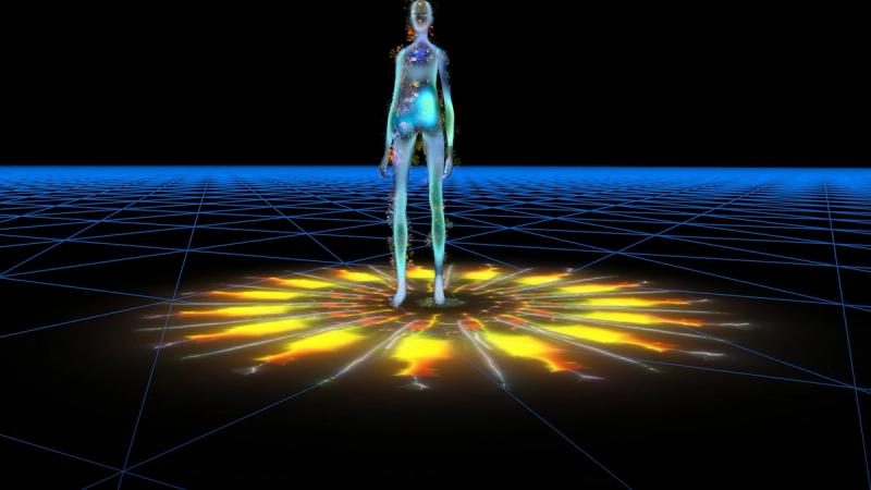 Metamorphosis (The Future Laboratory)
