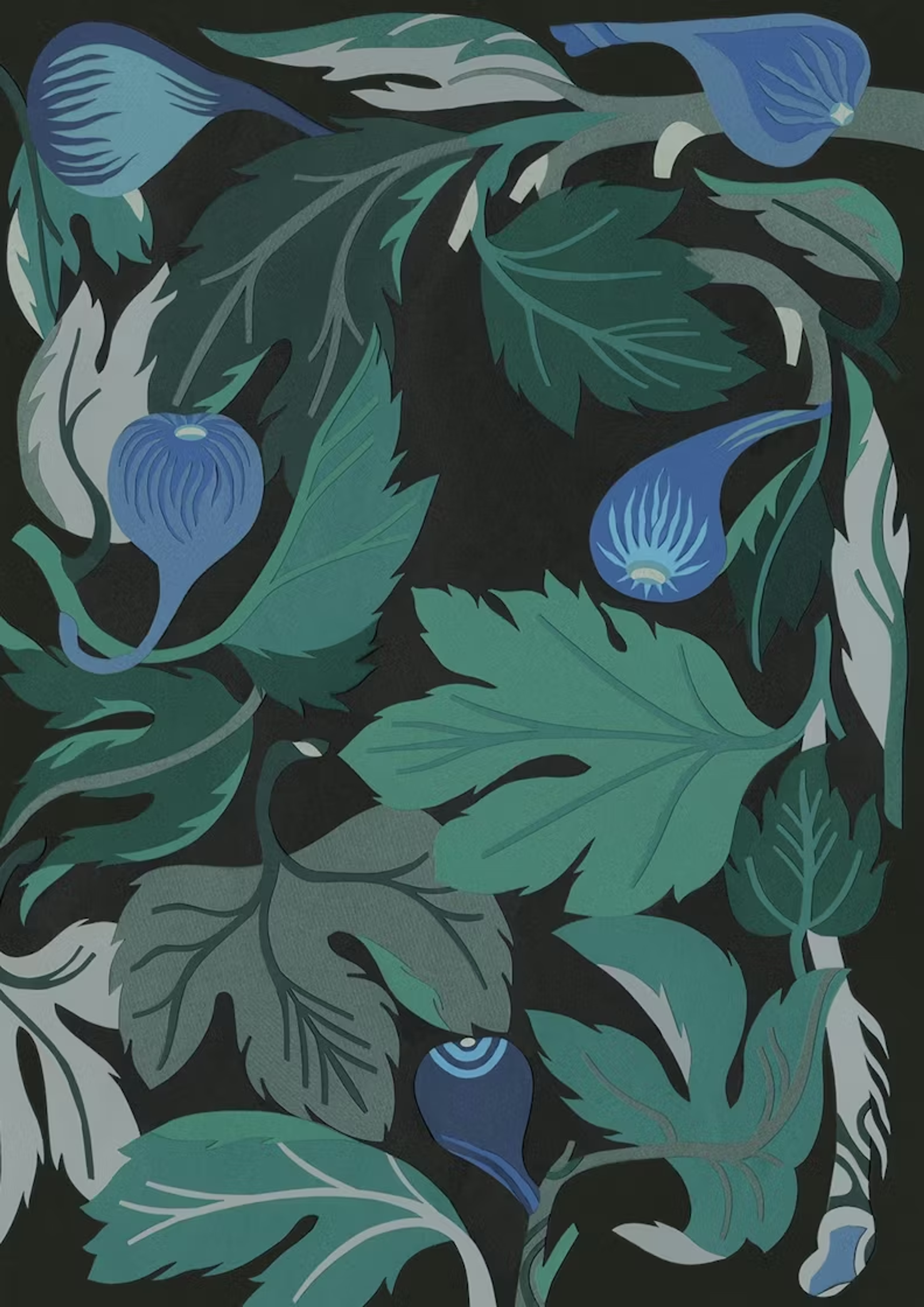 figs