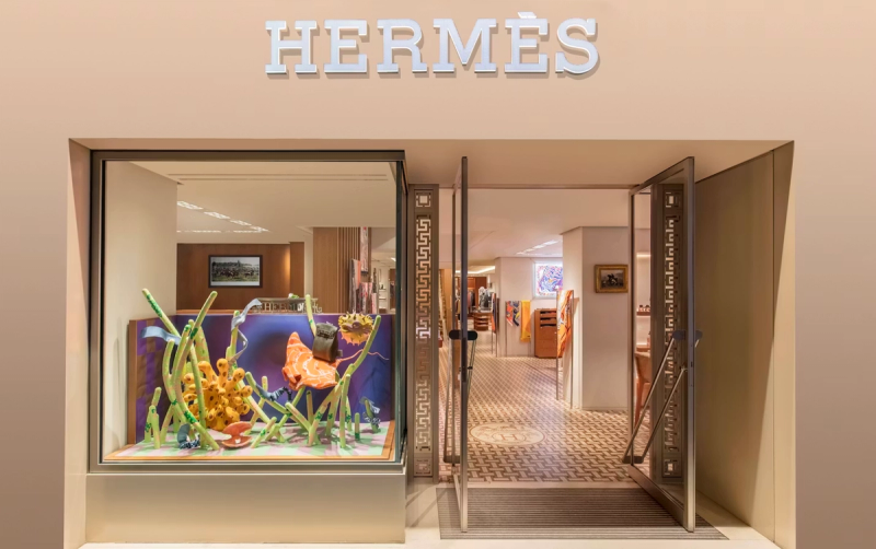 deep flight for hermès
