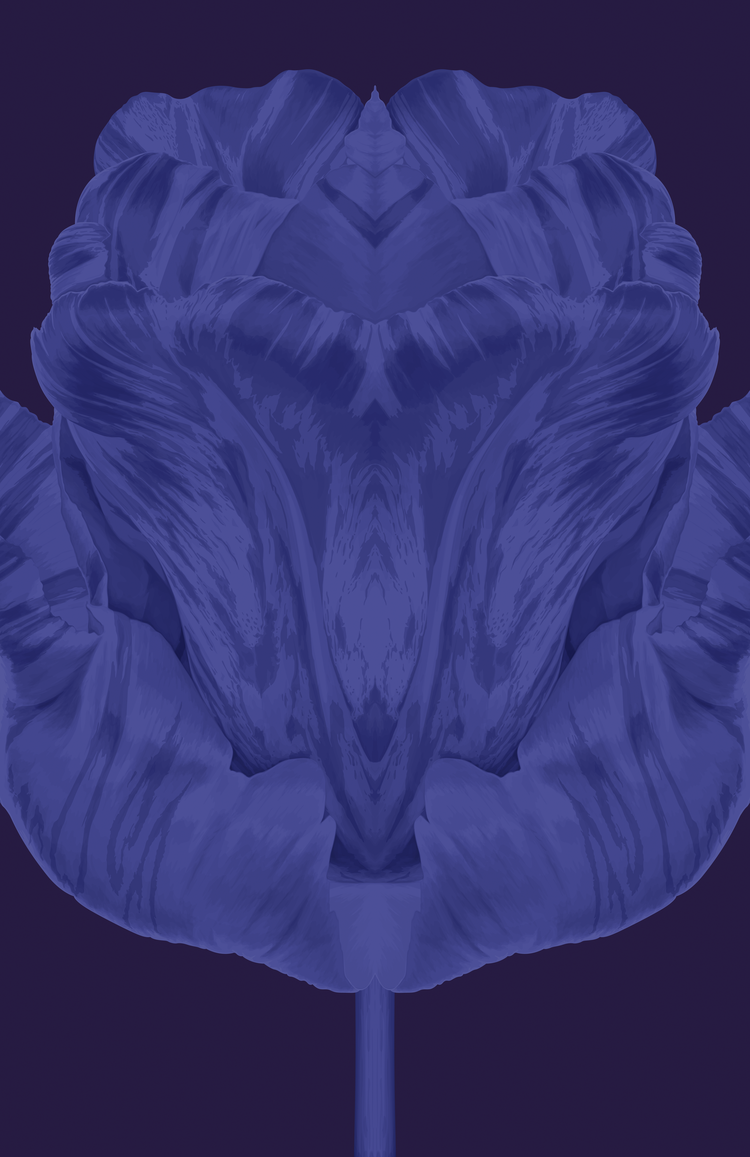 Blue Series