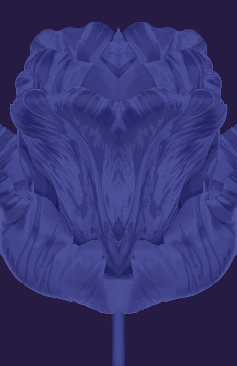 Blue Series