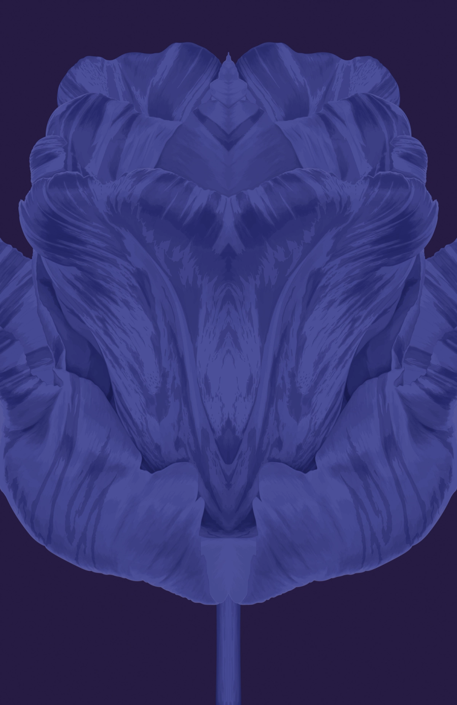 Blue Series