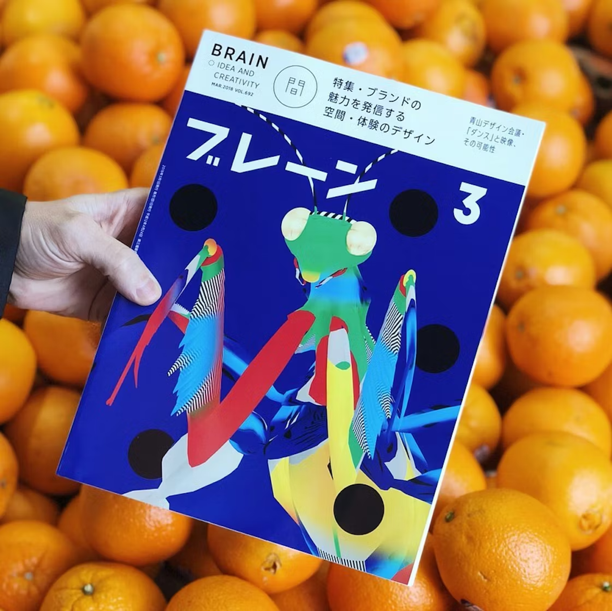 brain magazine