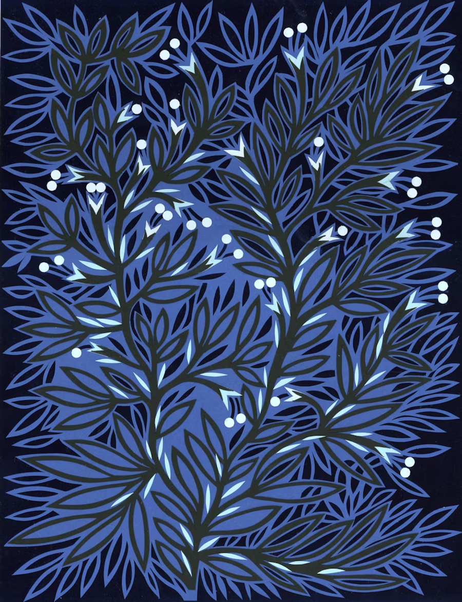 frost