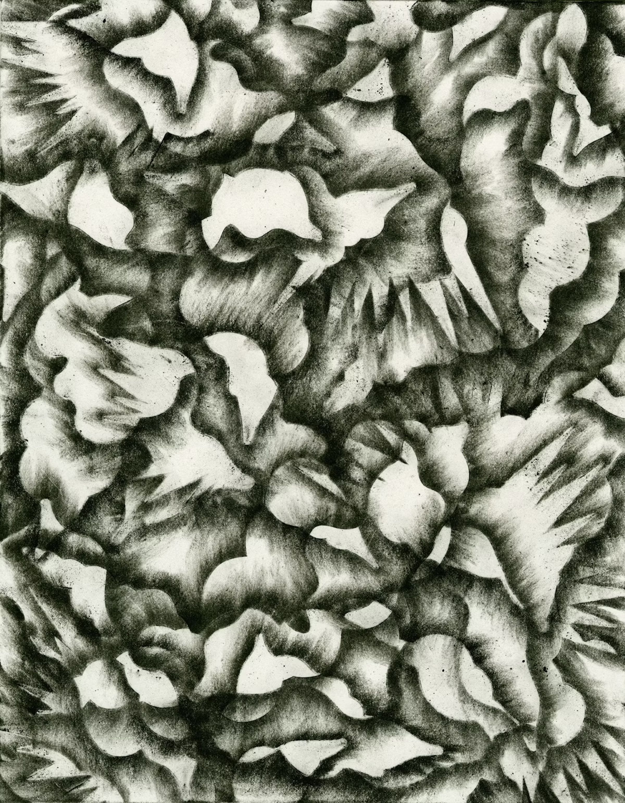 Burst (Personal)