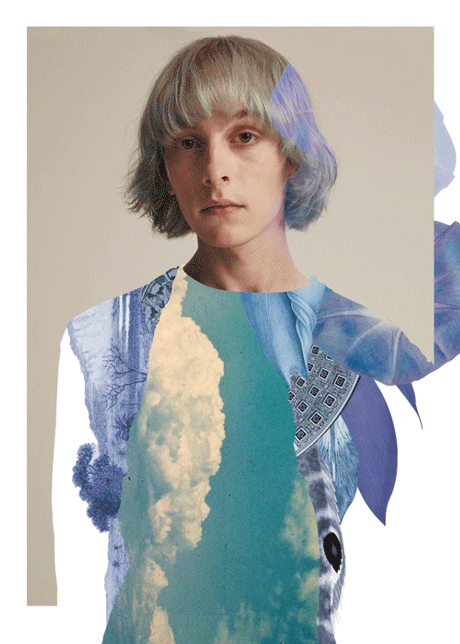Collages for Models 1