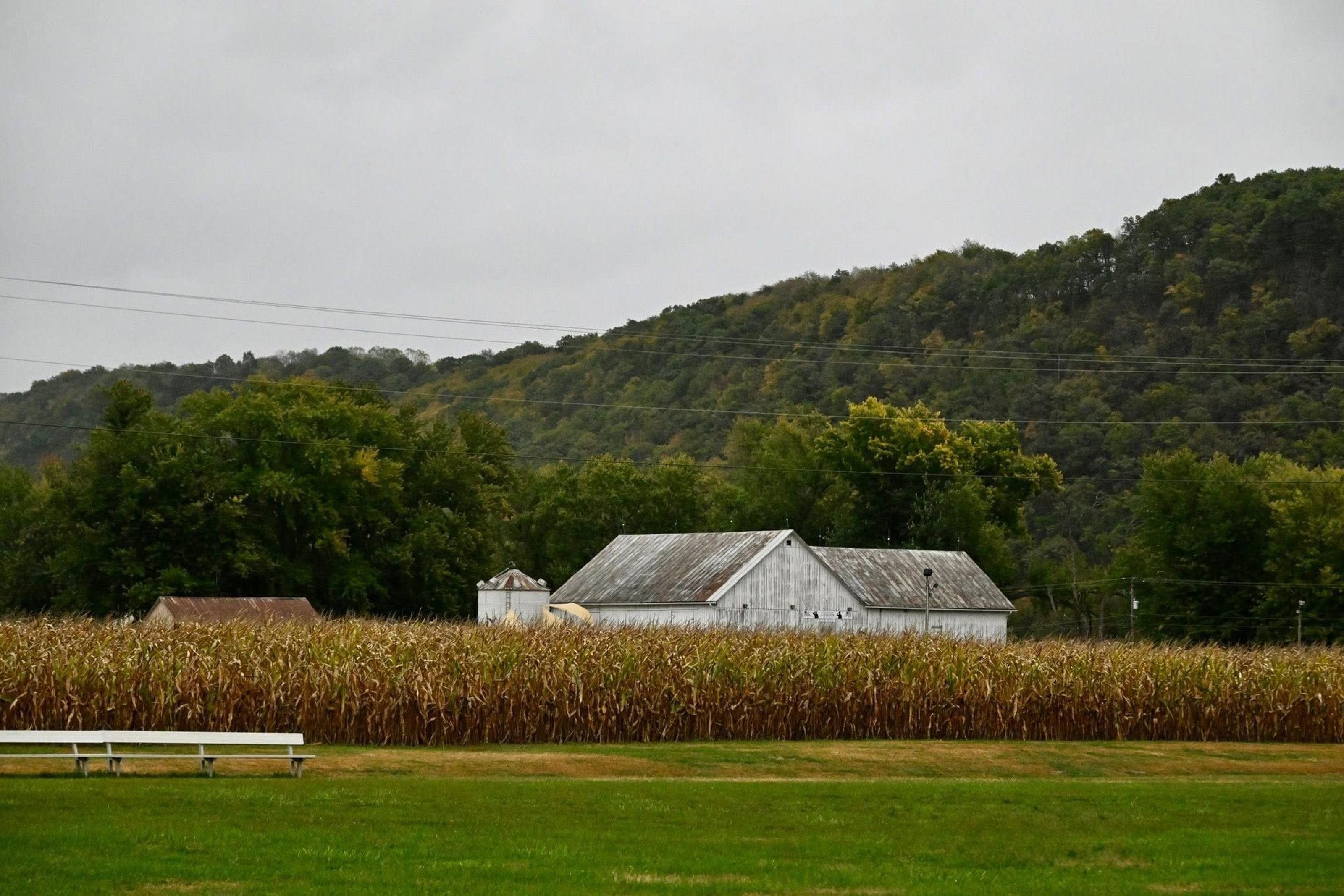 Photo Credit: Michael Williams, The Beauty of Bloomsburg