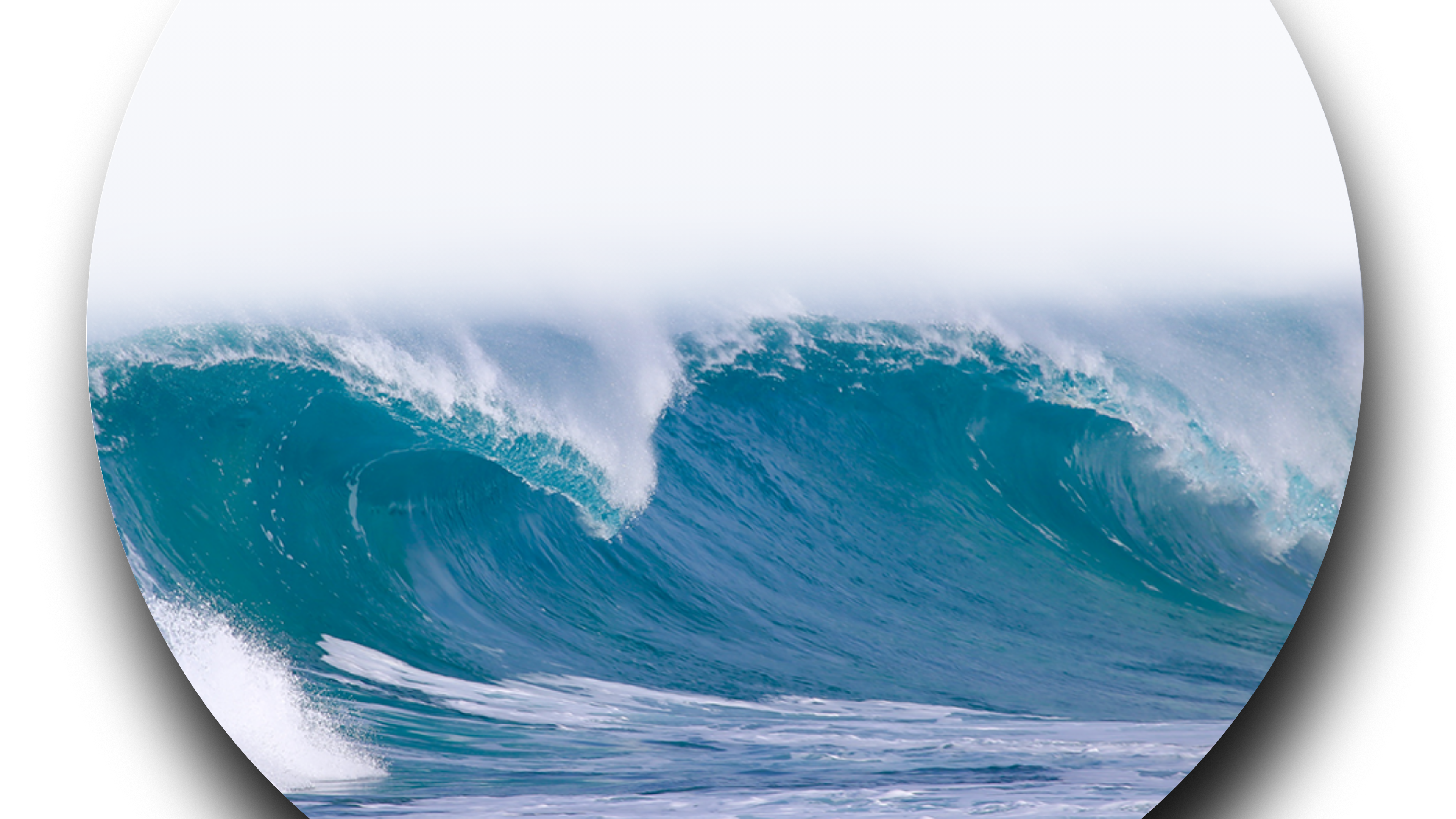 Online Investing Report 2026