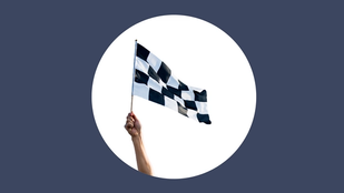 Finish line flag symbolising "The Results"