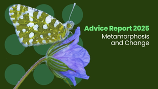 Advice Report 2025