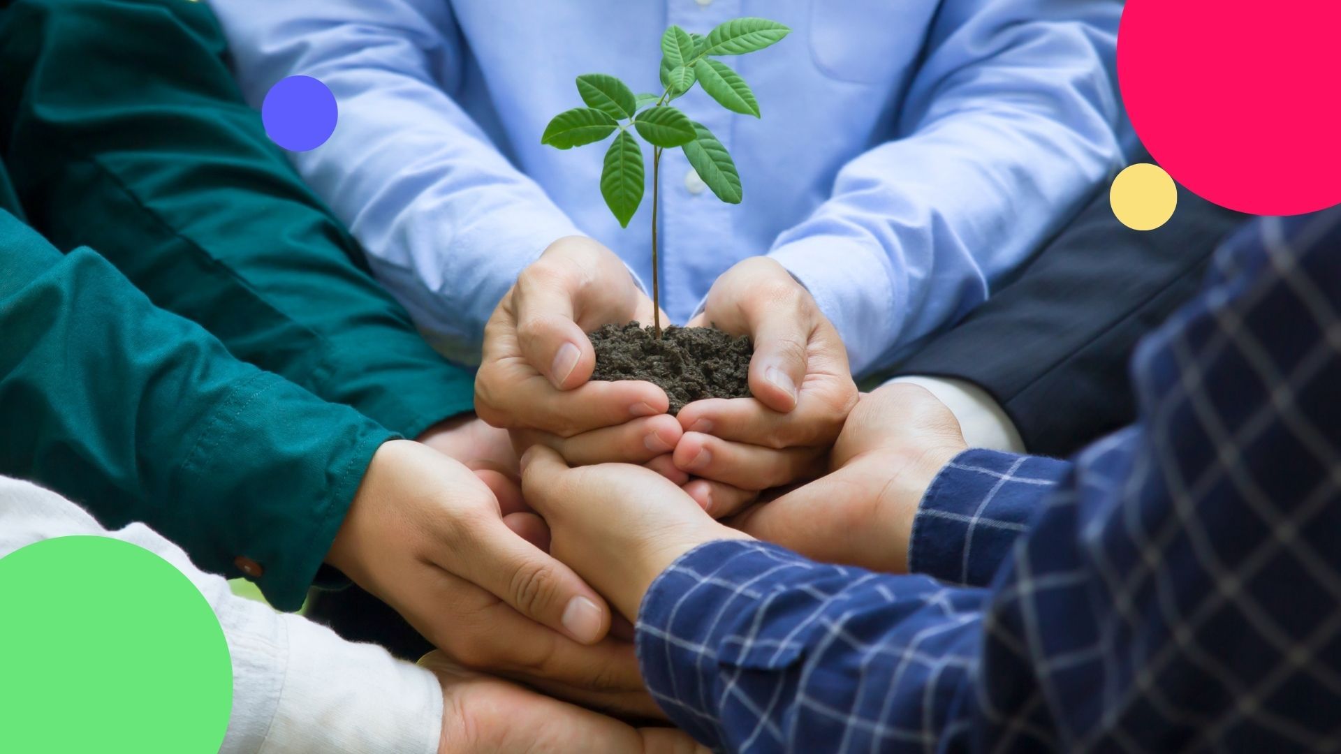 Is sustainable investing worth it? A no-nonsense guide to ESG, SRI and impact investing