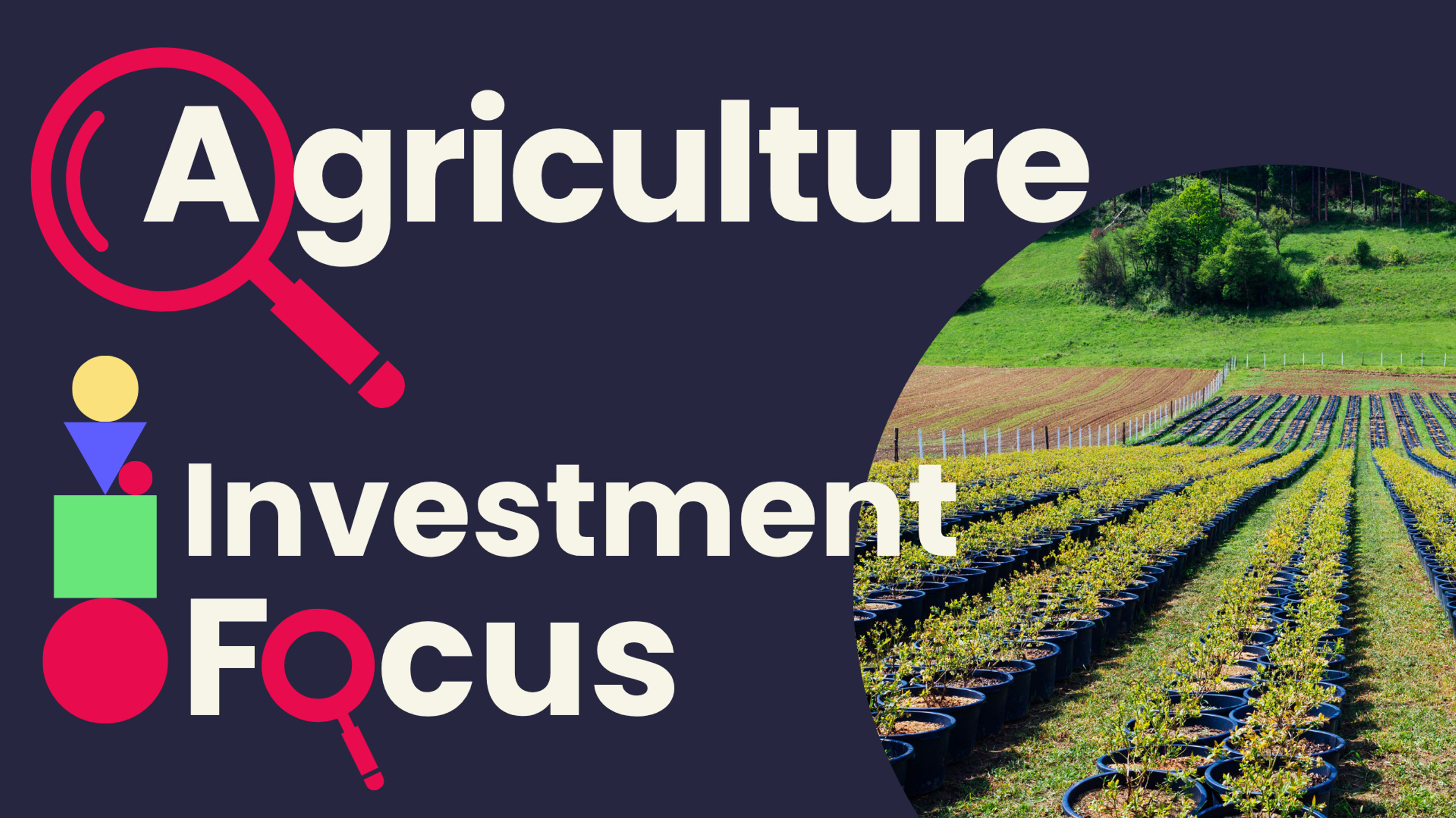 Investment Focus: Why agriculture could be an overlooked investment opportunity