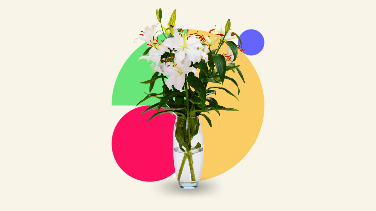 Bereavement: How to navigate life after loss